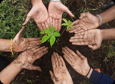 Community collaborative farming